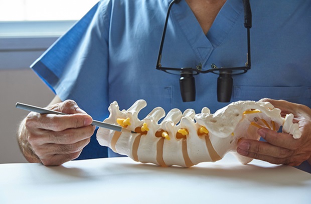 doctor_spine_model